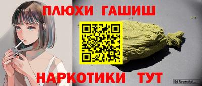 шишки Аргун