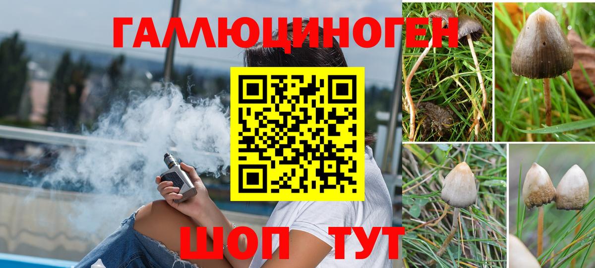 Псилоцибиновые грибы Magic Shrooms Вязники
