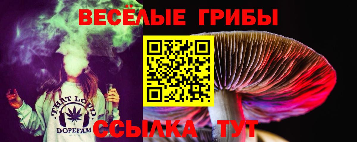 Галлюциногенные грибы MAGIC MUSHROOMS  Вход с VPN  Вязники 